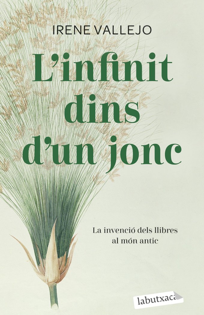 L'INFINIT DINS D'UN JONC, de VALLEJO, IRENE | portada del libro