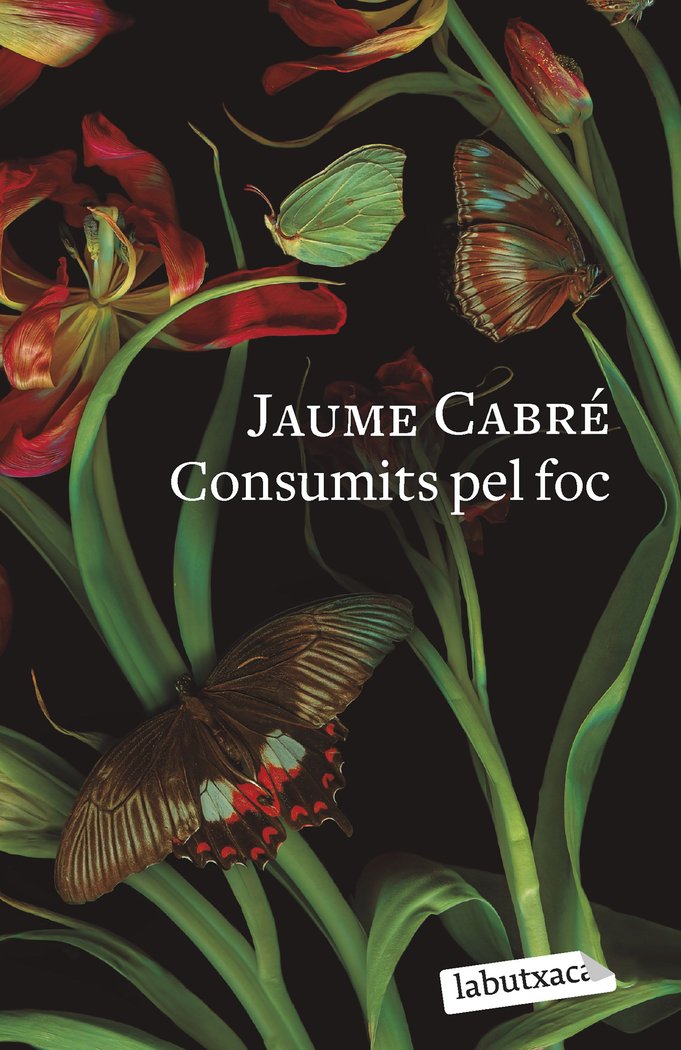 Consumits pel foc, de CABRE, JAUME | portada del libro