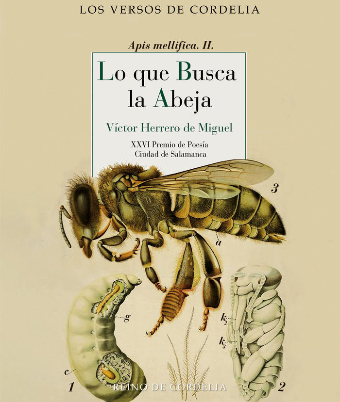 LO QUE BUSCA LA ABEJA, de HERRERO DE MIGUEL, VICTOR | portada del libro