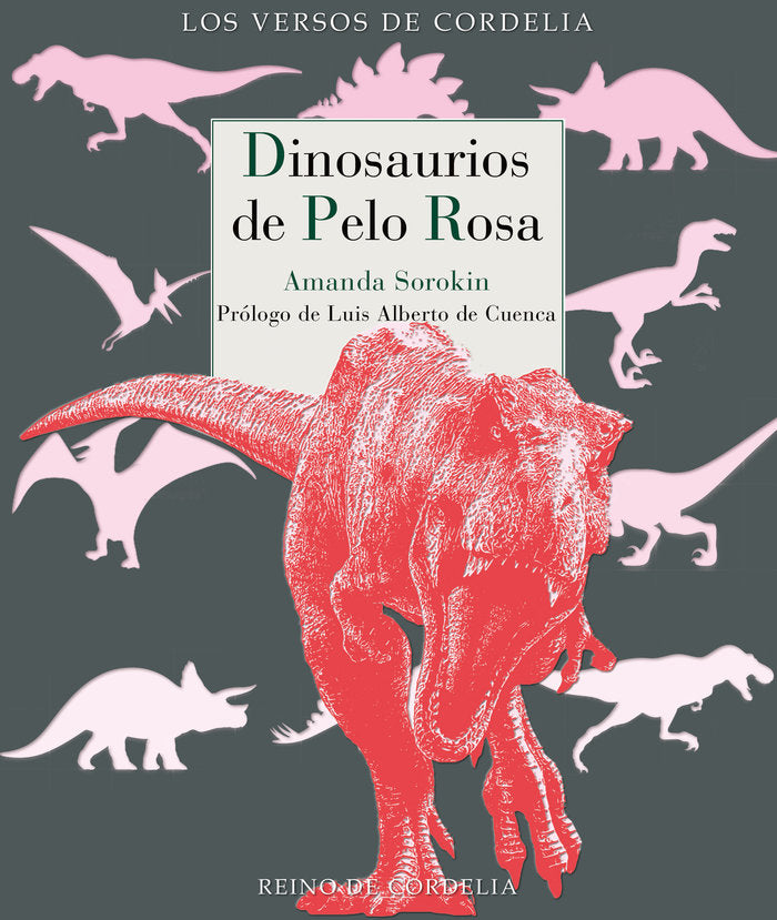 DINOSAURIOS DE PELO ROSA, de SOROKIN, AMANDA | portada del libro