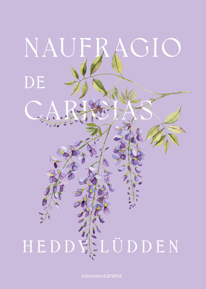 NAUFRAGIO DE CARICIAS, de LUDDEN, HEDDY | portada del libro