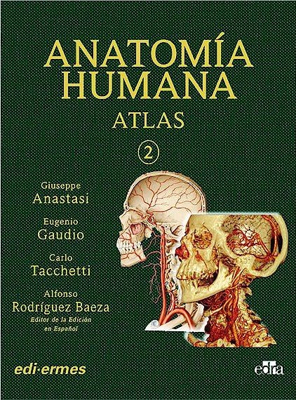 VOL II ANATOMIA HUMANA ATLAS INTERACTIVO MULTIMEDIA, SEGU, de ANASTASI, GIUSEPPE | portada del libro