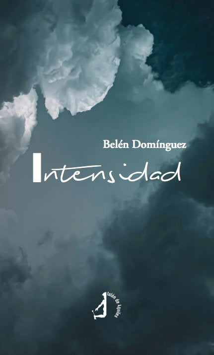 Intensidad, de DOMINGUEZ, BELEN | portada del libro