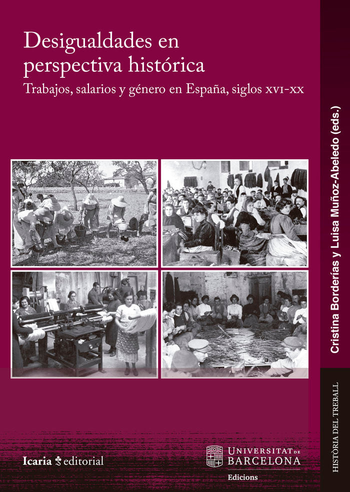DESIGUALDADES EN PERSPECTIVA HISTORICA | portada del libro