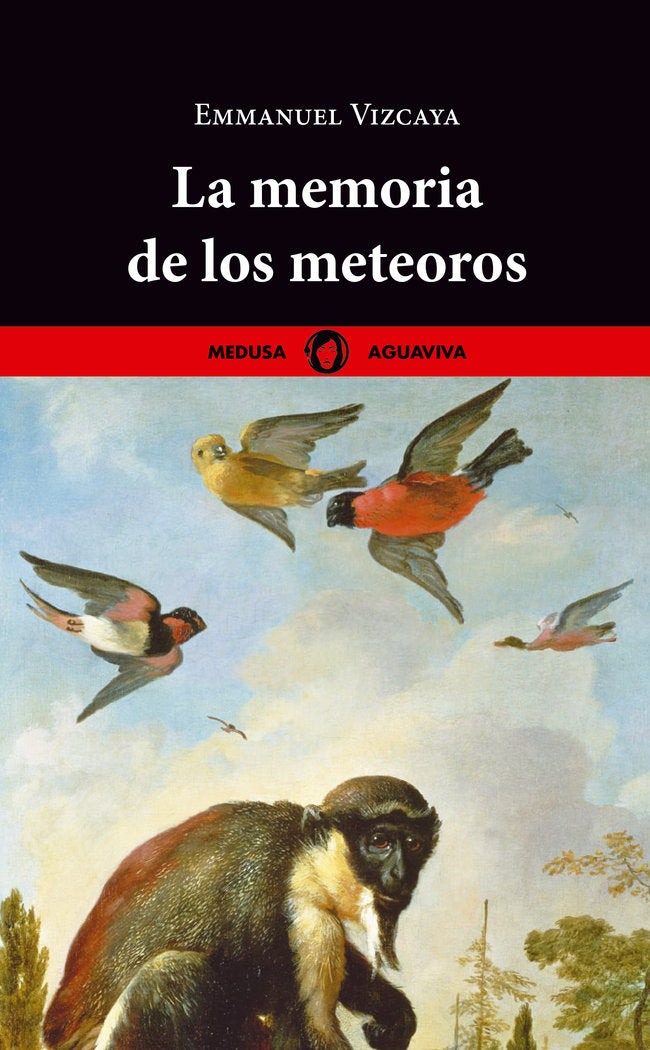 LA MEMORIA DE LOS METEOROS, de VIZCAYA, EMMANUEL | portada del libro