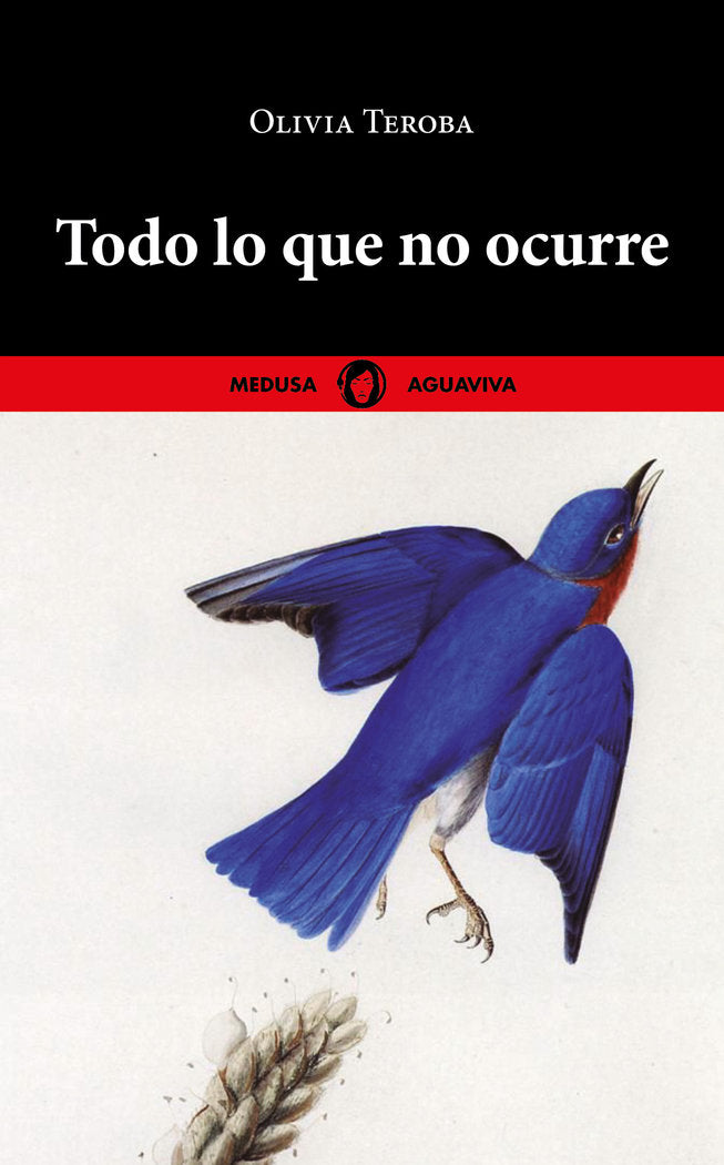 TODO LO QUE NO OCURRE, de TEROBA, OLIVIA | portada del libro