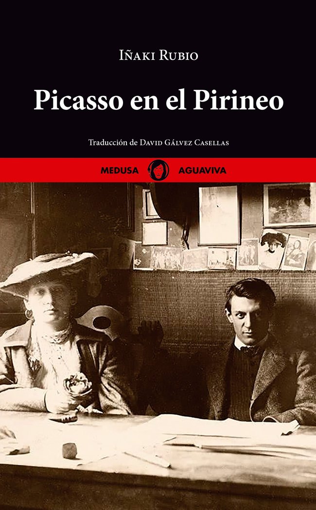 Picasso en el Pirineo, de RUBIO, IÑAKI | portada del libro