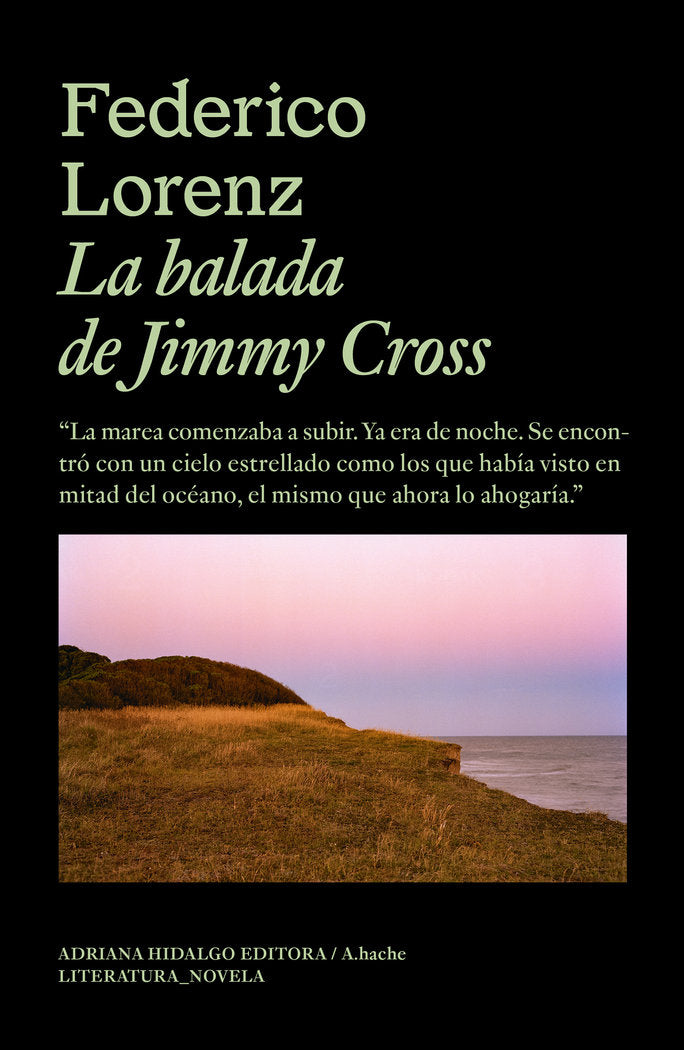 LA BALADA DE JIMMY CROSS, de LORENZ, FEDERICO | portada del libro