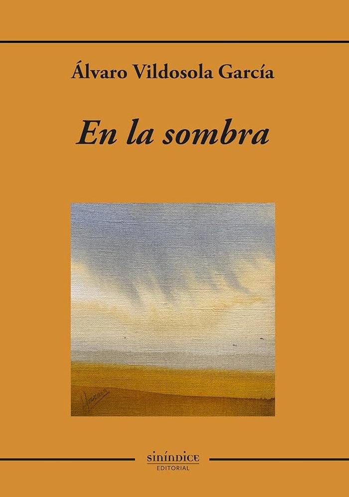 EN LA SOMBRA, de VILDOSOLA GARCIA | portada del libro
