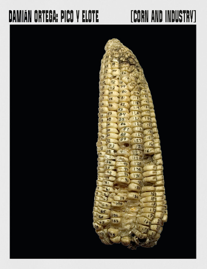 PICO Y ELOTE CORN AND INDUSTRY, de ORTEGA, DAMIAN | portada del libro
