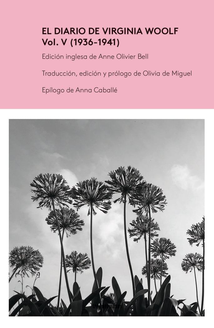 El Diario de Virginia Woolf vol. IV, de WOOLF, VIRGINIA | portada del libro