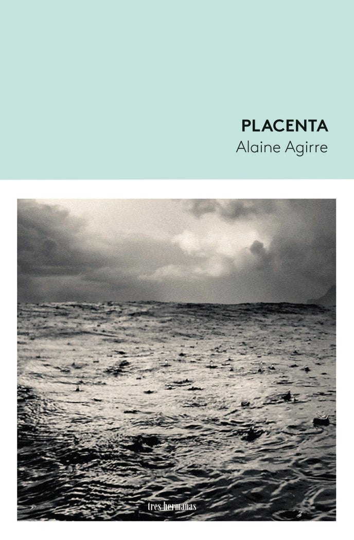 Placenta, de AGIRRE, ALAINE | portada del libro