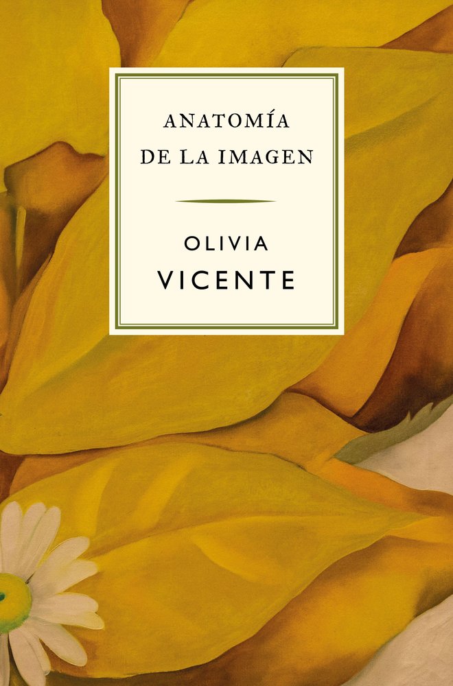 ANATOMIA DE LA IMAGEN, de VICENTE, OLIVIA | portada del libro