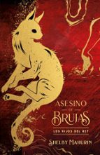 Asesino de brujas: Los hijos del rey - Edición limitada, de Shelby Mahurin | portada del libro
