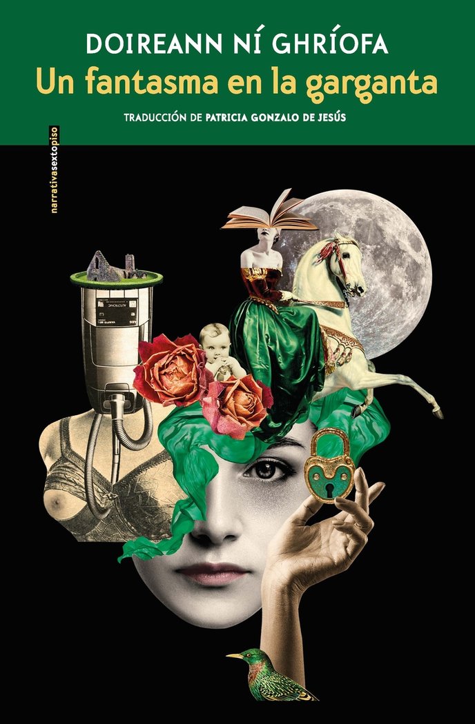 UN FANTASMA EN LA GARGANTA, de NI GHRIOFA, DOIREANN | portada del libro