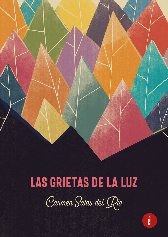 Las grietas de la luz, de Salas del Río, Carmen | portada del libro