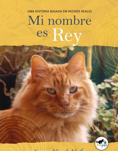 Mi nombre es Rey, de ASOCIACION MONGATS MONTBUI | portada del libro