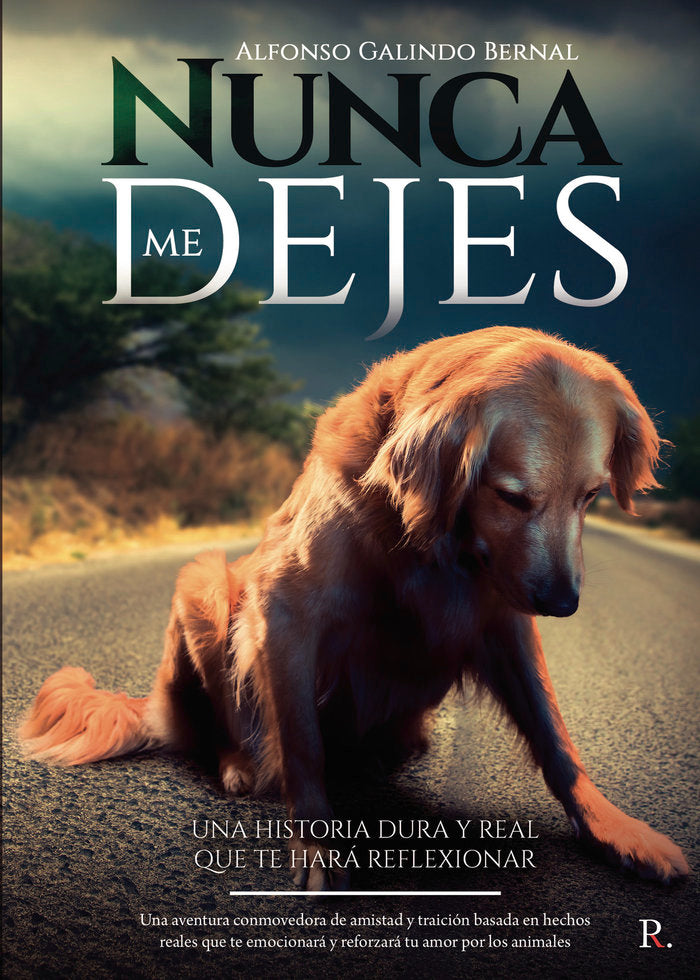 Nunca me dejes, de Galindo Bernal, Alfonso | portada del libro
