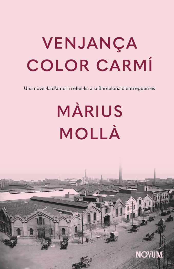 VENJANÇA COLOR CARMI, de MOLLA, MARIUS | portada del libro