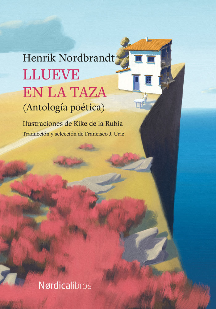 LLUEVE EN LA TAZA, de NORDBRANDT, HENRIK | portada del libro