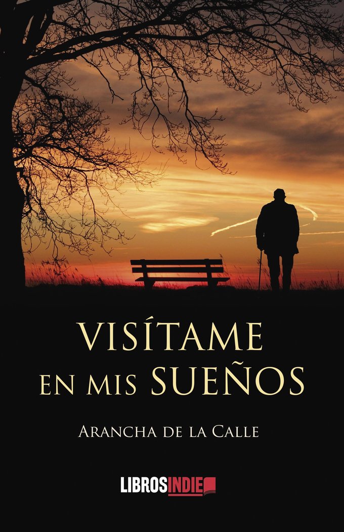 Visítame en mis sueños, de de la Calle, Arancha | portada del libro
