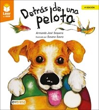DETRAS DE UNA PELOTA, de SEQUERA ARMANDO JOSE | portada del libro