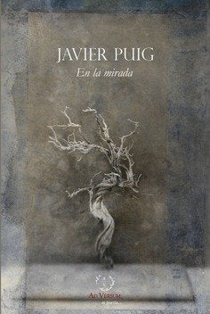 En la mirada, de PUIG LOPEZ, FRANCISCO JAVIER | portada del libro