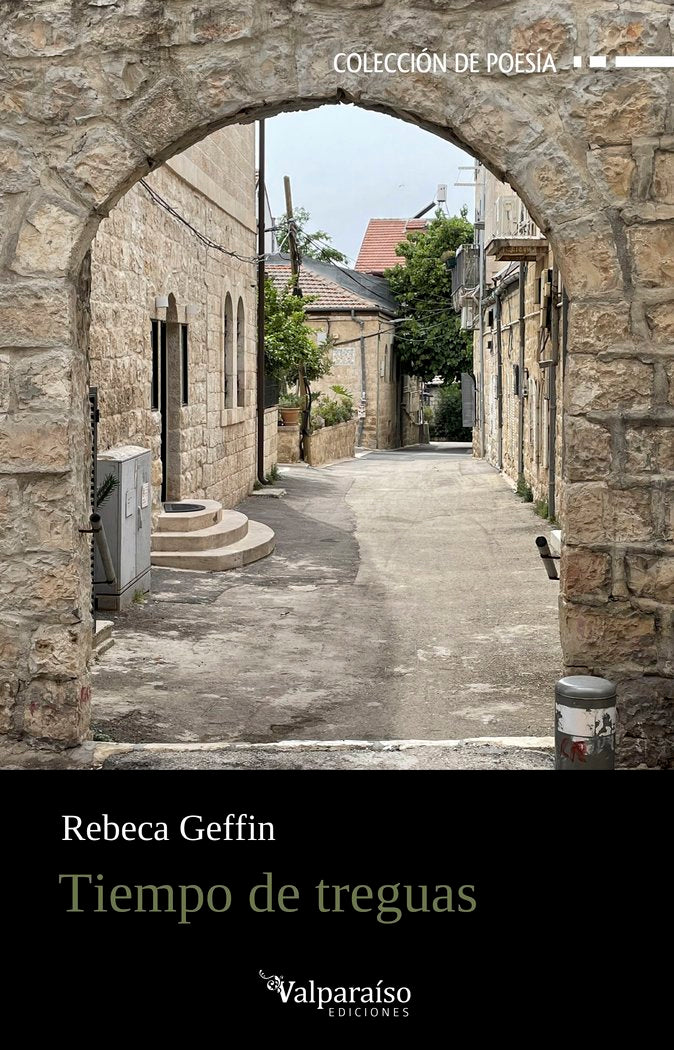 TIEMPO DE TREGUAS, de GEFFIN, REBECA | portada del libro
