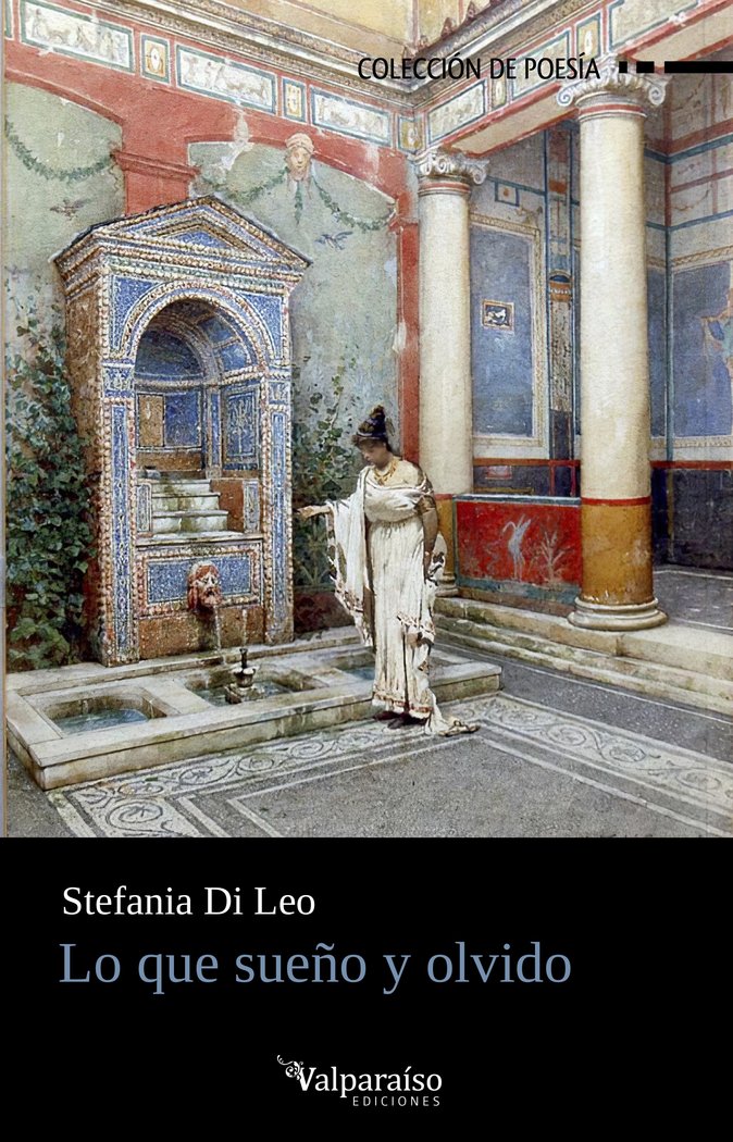 LO QUE SUEÑO Y OLVIDO, de DI LEO, STEFANIA | portada del libro