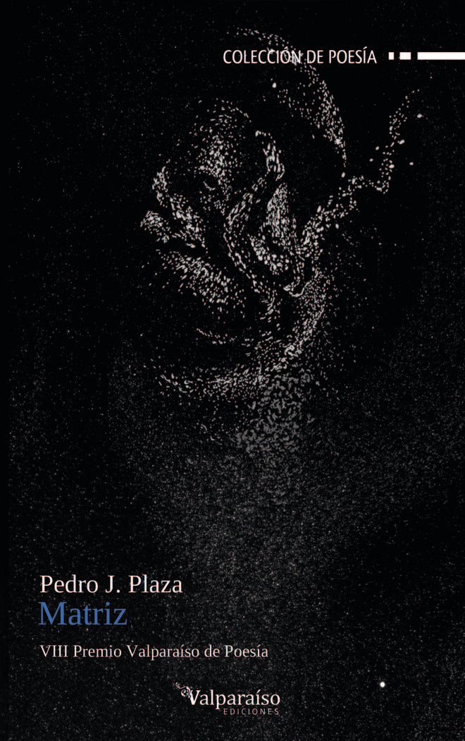 MATRIZ, de PLAZA, PEDRO J. | portada del libro