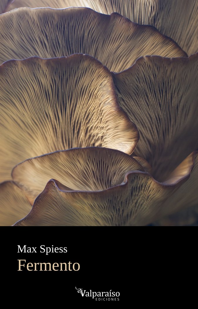 FERMENTO, de SPIESS, MAX | portada del libro