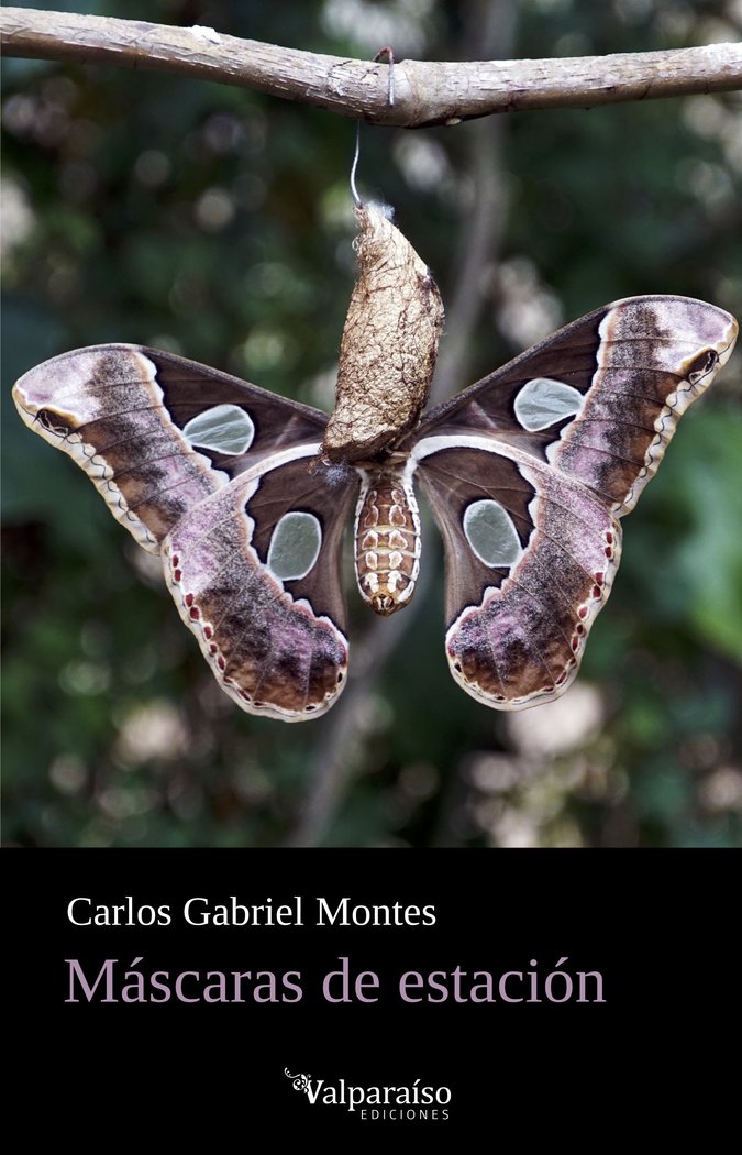MASCARAS DE ESTACION, de MONTES, CARLOS GABRIEL | portada del libro