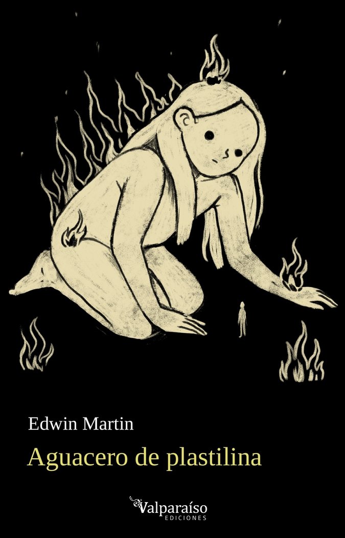 AGUACERO DE PLASTILINA, de MARTIN, EDWIN | portada del libro