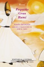 PEQUEﾑO GRAN RUMﾍ, de Rumi | portada del libro