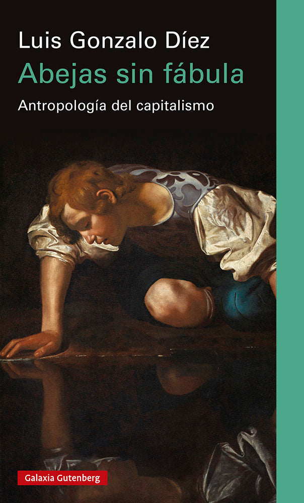 ABEJAS SIN FÁBULA, de DIEZ | portada del libro