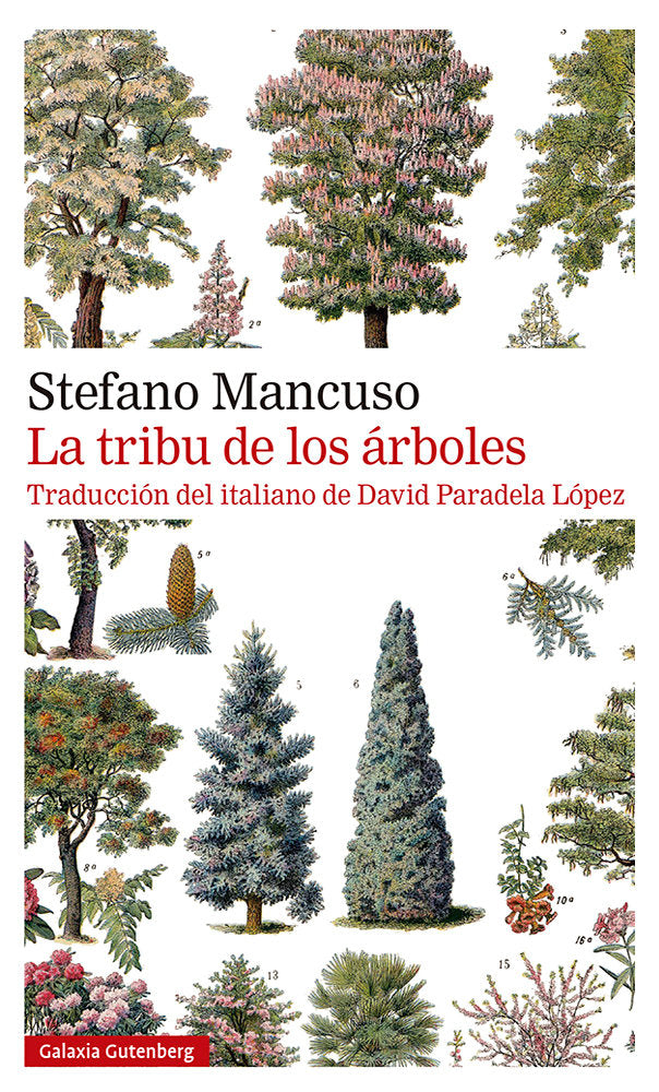TRIBU DE LOS ÁRBOLES, LA, de MANCUSO | portada del libro
