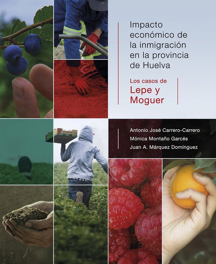 IMPACTO ECONOMICO DE LA INMIGRACION EN LA PROVINCIA DE HUELV, de CARRERO-CARRERO | portada del libro