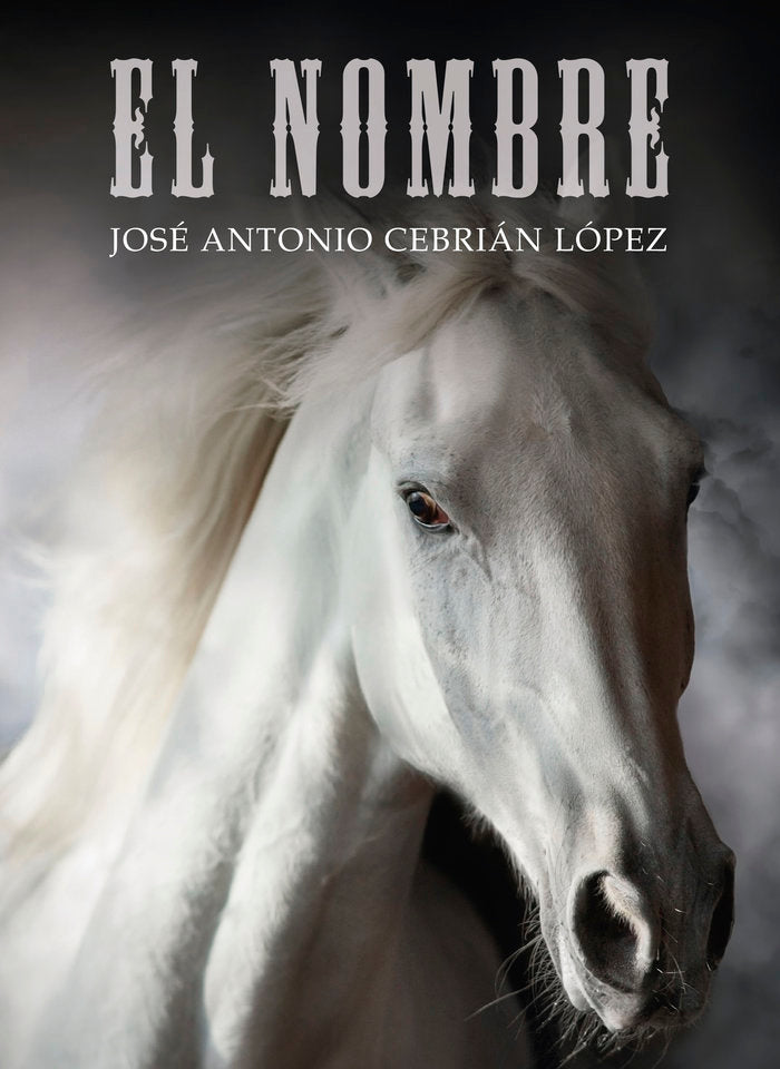 EL NOMBRE, de Cebrián López, José Antonio | portada del libro