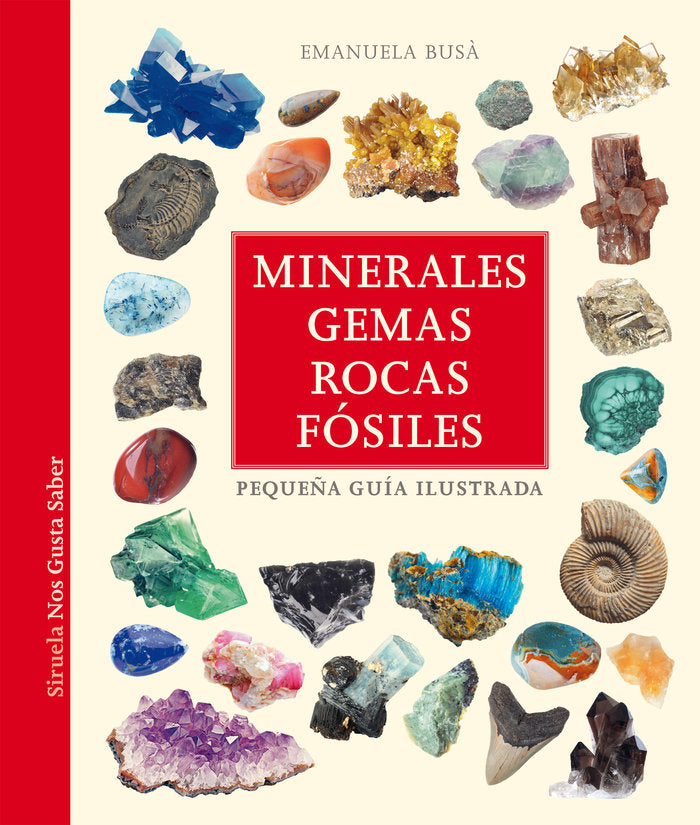 MINERALES, GEMAS, ROCAS Y FOSILES:PEQUEÑA GUIA ILUSTRADA, de BUSA, EMANUELA | portada del libro