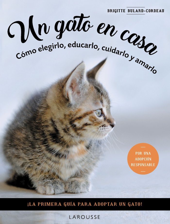 UN GATO EN CASA, de BULARD-CORDEAU, BRIGITTE | portada del libro