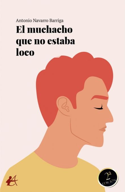 El muchacho que no estaba loco, de Navarro Barriga, Antonio | portada del libro