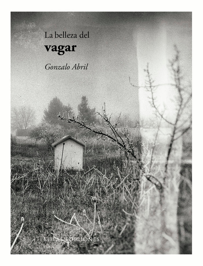 La belleza del vagar, de ABRIL, GONZALO | portada del libro