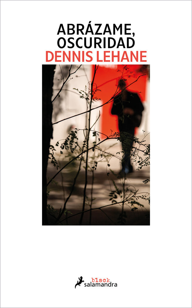 Abrázame, oscuridad (Kenzie y Gennaro  2), de DENNIS LEHANE | portada del libro