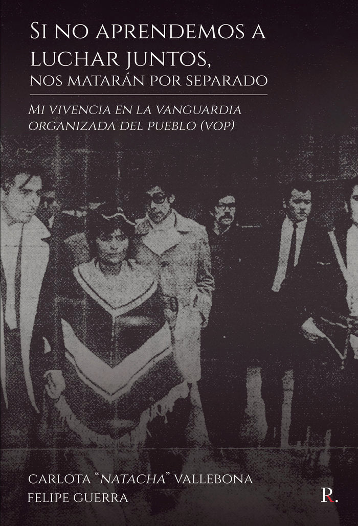 Si no aprendemos a luchar juntos, nos matarán por separado, de Guerra Guajardo, Felipe | portada del libro