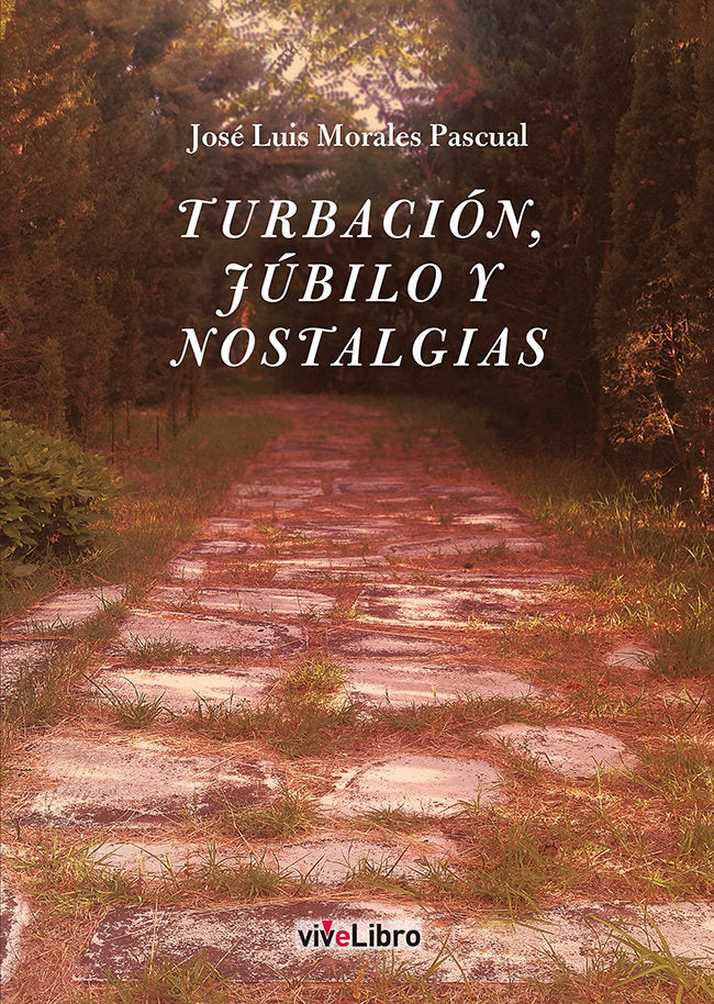 TURBACION JUBILO Y NOSTALGIAS, de MORALES PASCUAL, JOSE LUIS | portada del libro