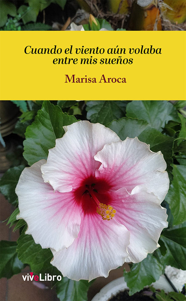 CUANDO EL VIENTO AUN VOLABA ENTRE MIS SUEÑOS, de HERRERA RODA, GERARDO | portada del libro