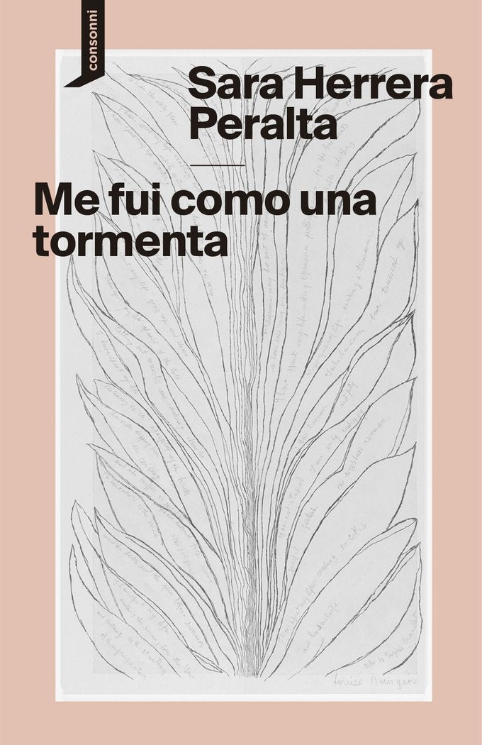 Me fui como una tormenta, de HERRERA PERALTA, SARA | portada del libro