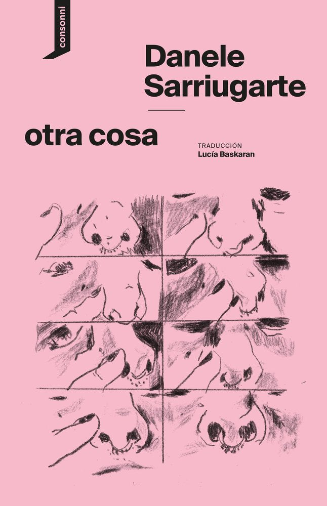 otra cosa, de SARRIUGARTE,DANELE | portada del libro