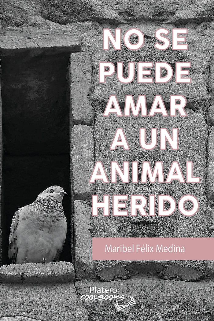 NO SE PUEDE AMAR A UN ANIMAL HERIDO, de FÉLIX MEDINA, Mª ISABEL | portada del libro