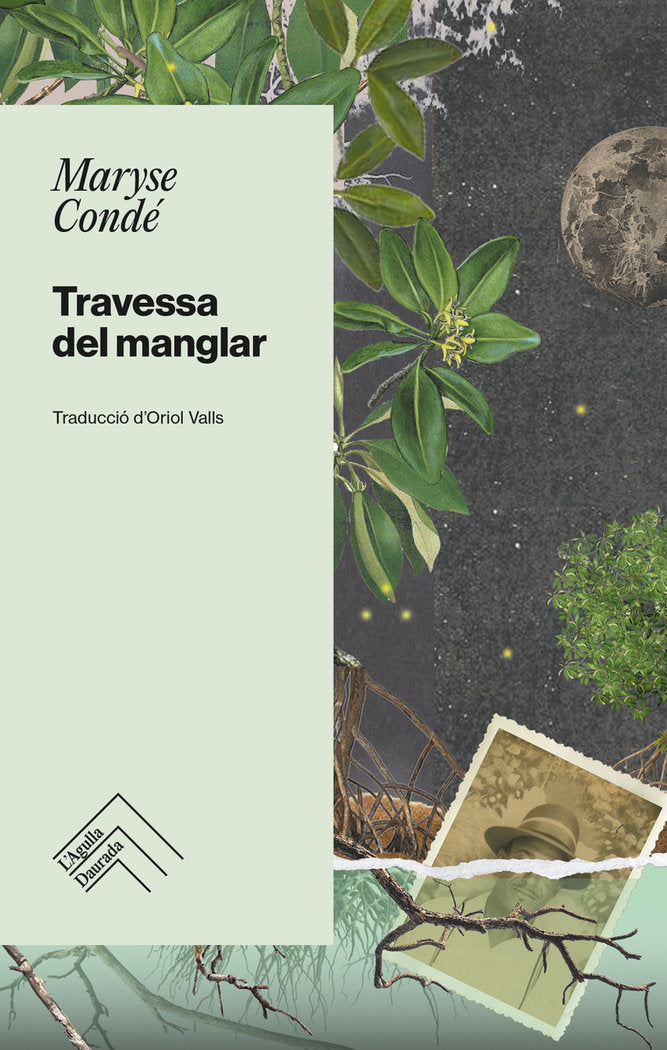 TRAVESSA DEL MANGLAR, de CONDE, MARYSE | portada del libro